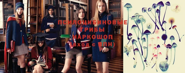 apvp Каменка